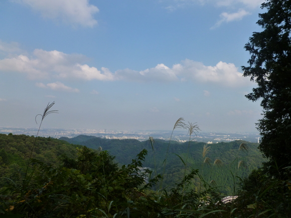 f0127915_21242745.jpg