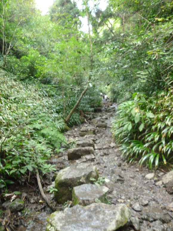 f0127915_21249100.jpg