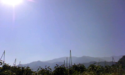 d0024220_1881173.jpg