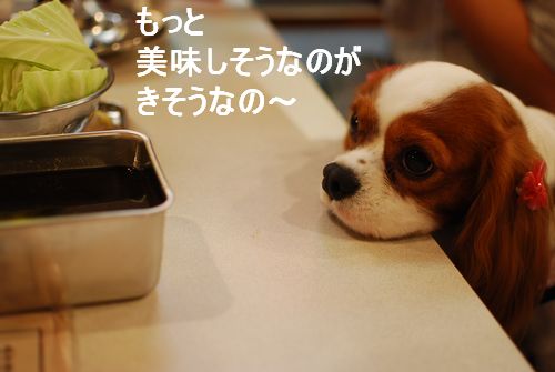 f0214121_2149083.jpg