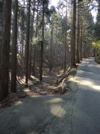 c0189724_18272937.jpg