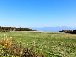 f0022024_2352091.jpg