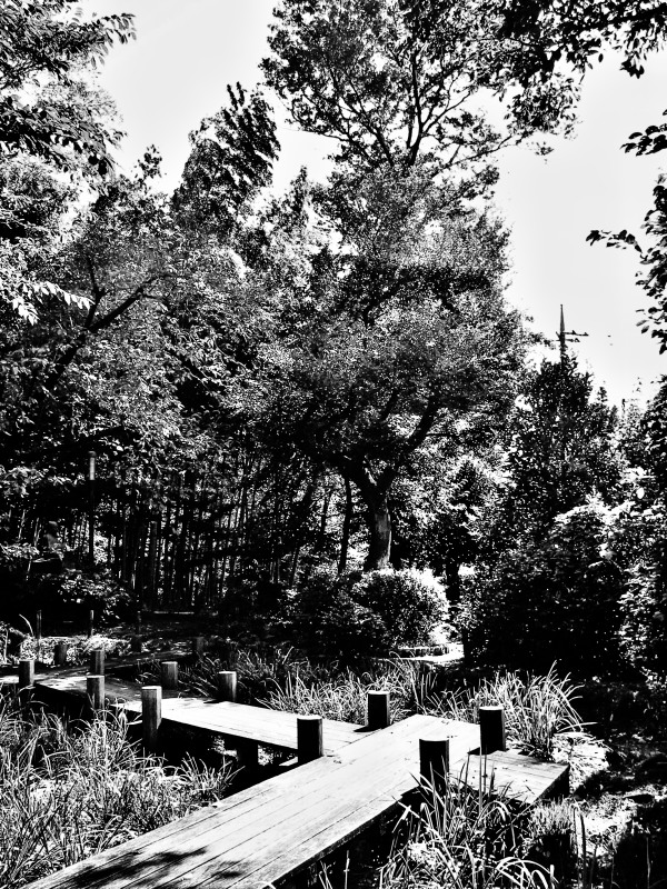 c0109827_158475.jpg