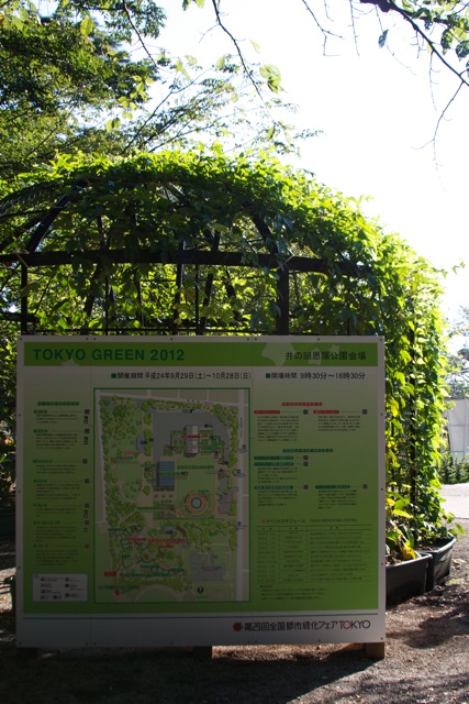 e0021328_0565617.jpg