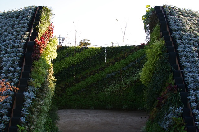 e0021328_0584353.jpg