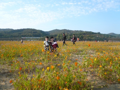 b0132630_930246.jpg