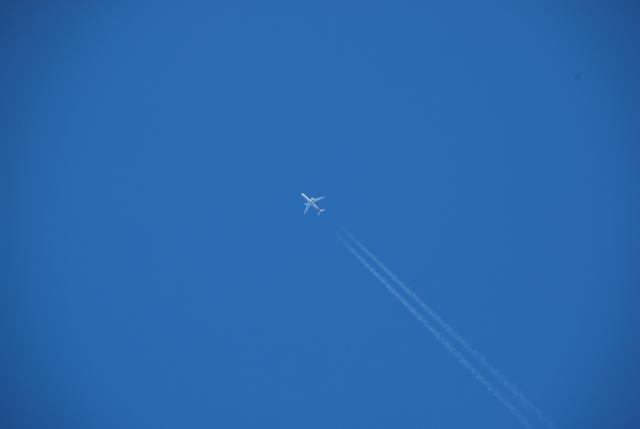 c0025130_1882076.jpg