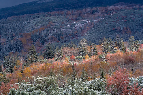 e0025030_9121089.jpg