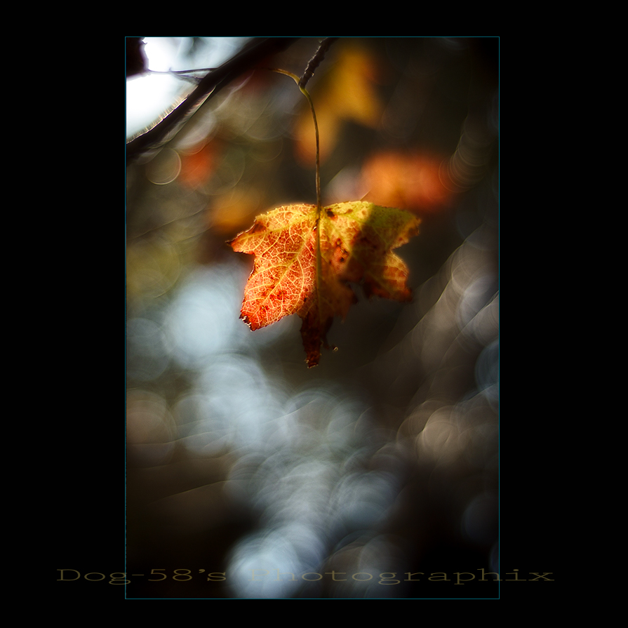 d0004832_8572766.jpg
