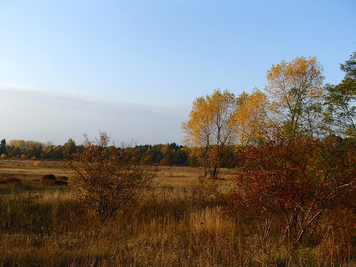 a0282833_1481210.jpg