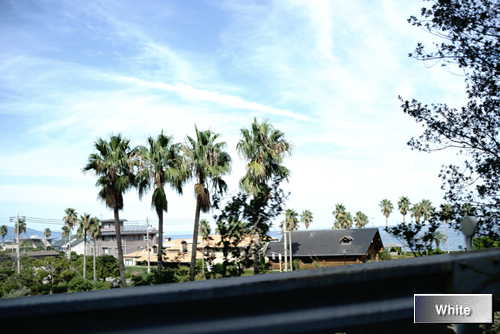 c0227134_2310736.jpg