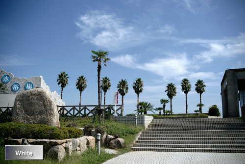 c0227134_2375266.jpg