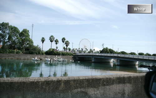 c0227134_2395272.jpg