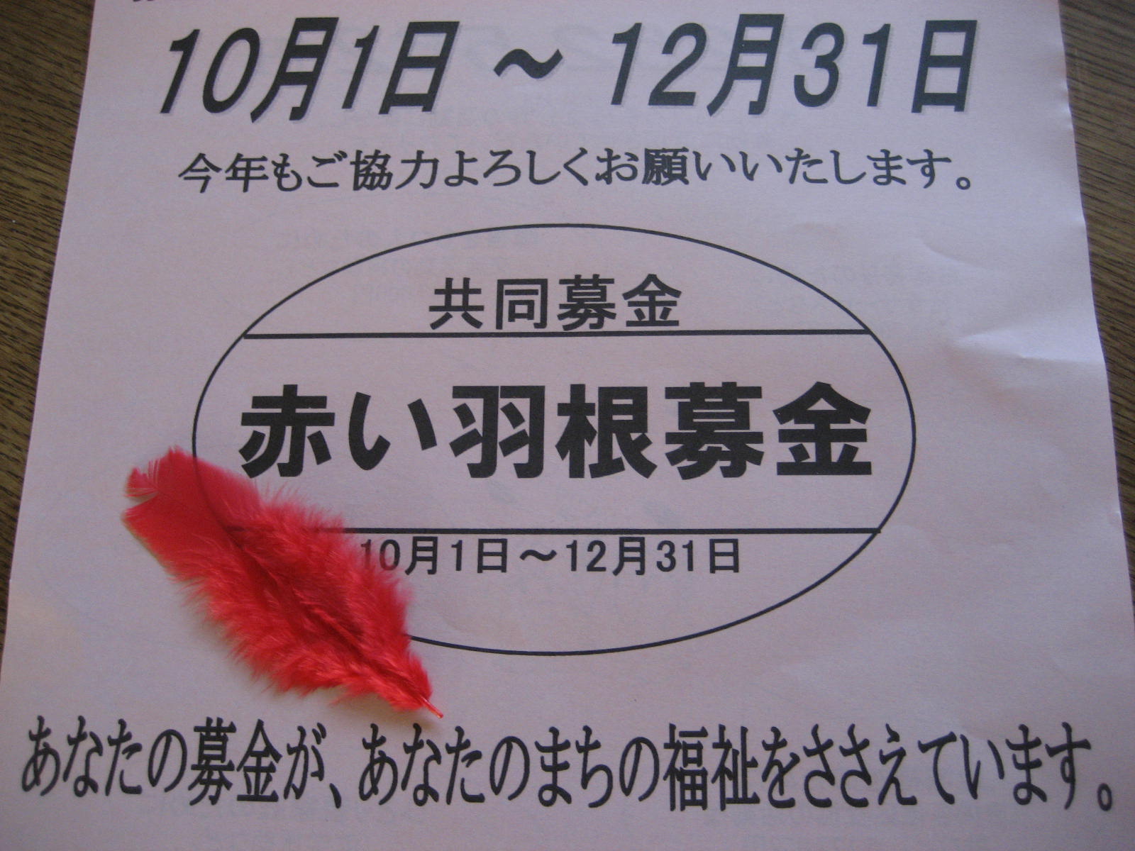 b0166435_2263461.jpg