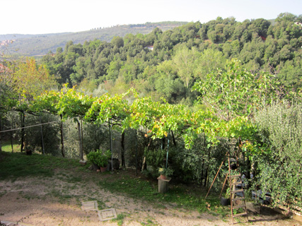 f0234936_535388.jpg