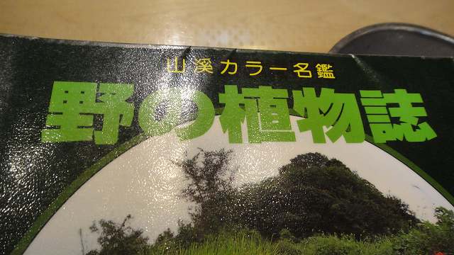 f0208737_81216100.jpg