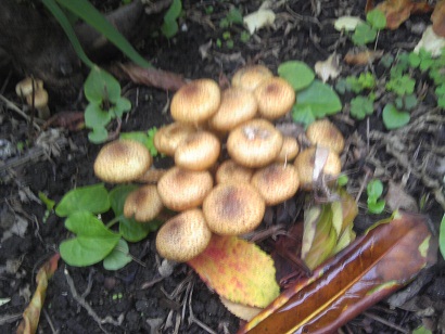 c0227640_7461680.jpg