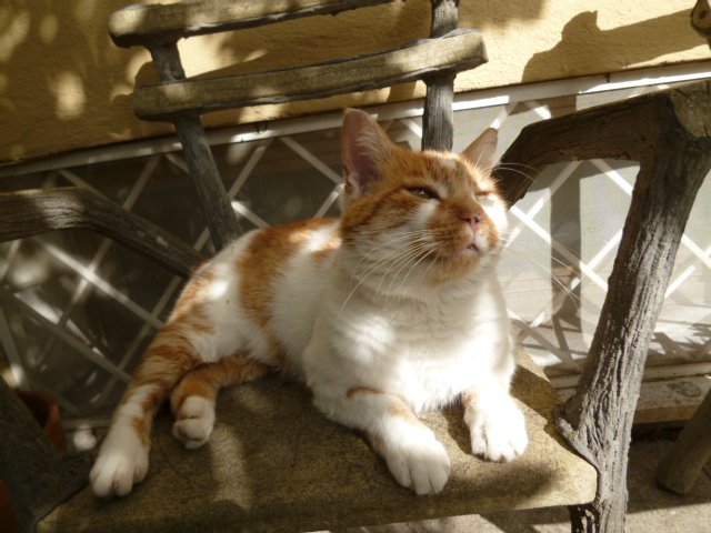 d0170140_2354528.jpg