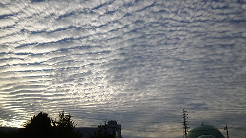 f0204440_16171556.jpg