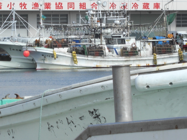 a0249443_754540.jpg