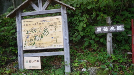 c0042847_152935100.jpg