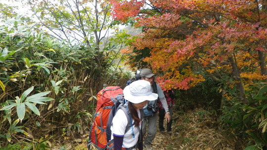c0042847_15361296.jpg