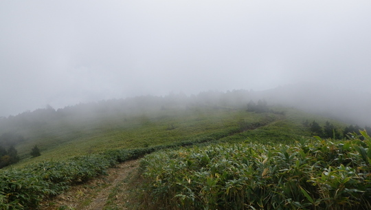 c0042847_15375265.jpg