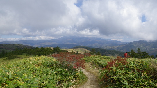 c0042847_15391758.jpg