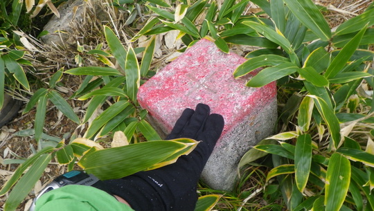 c0042847_1541106.jpg