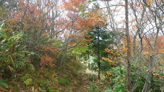 c0042847_15413456.jpg