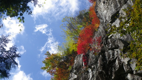 c0042847_15435316.jpg