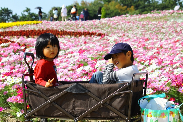 a0090451_233991.jpg
