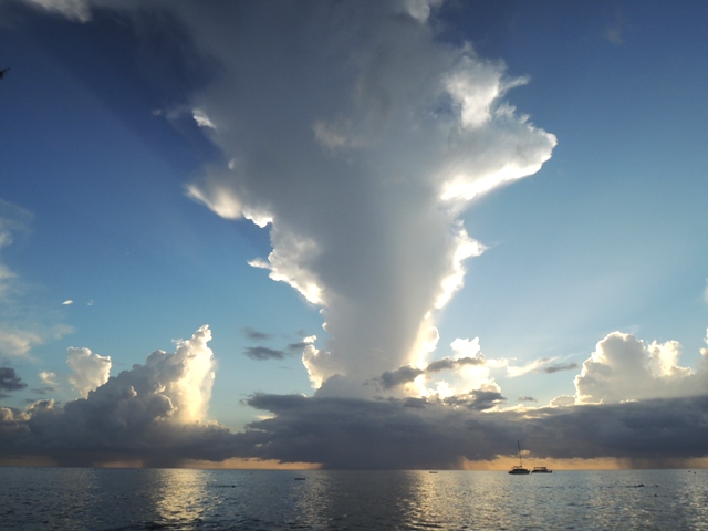 b0173754_13442573.jpg