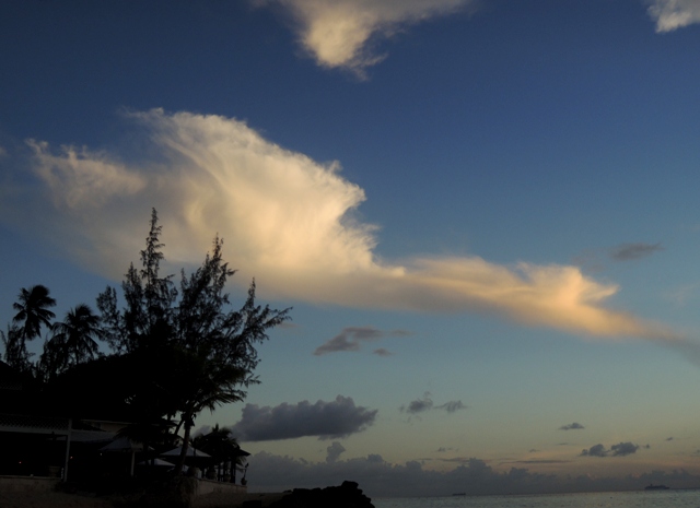 b0173754_2534570.jpg