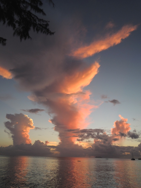 b0173754_2545951.jpg