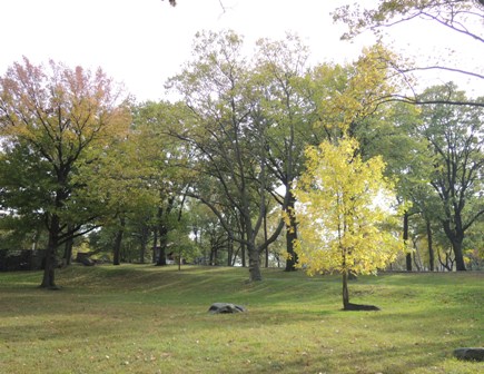 b0173754_325010.jpg
