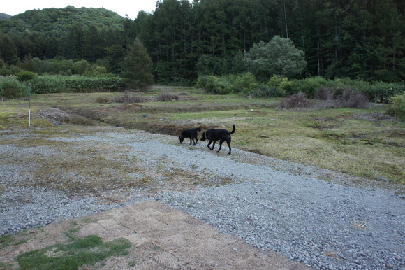 f0093459_15495415.jpg