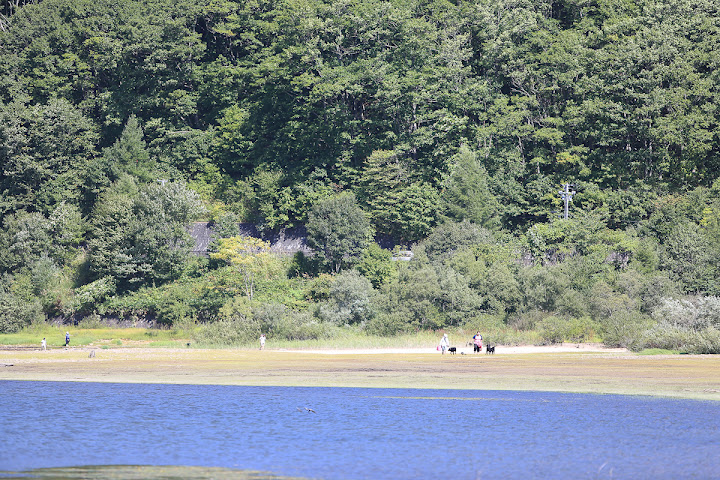 f0093459_16214573.jpg
