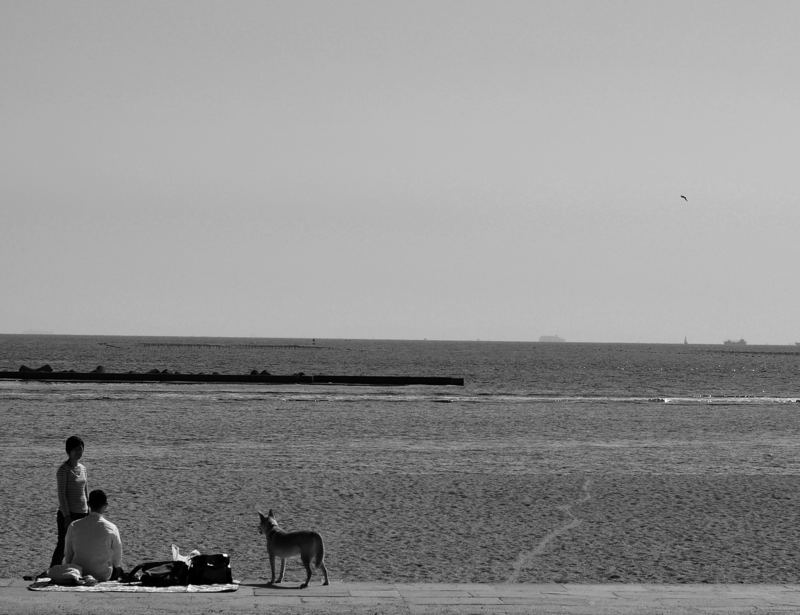 e0053660_2134212.jpg