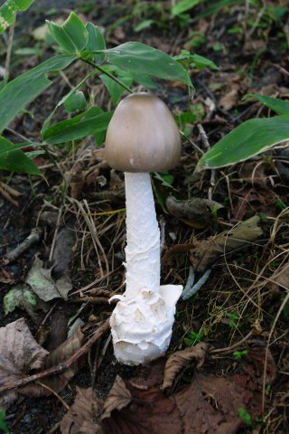 e0045768_22125816.jpg