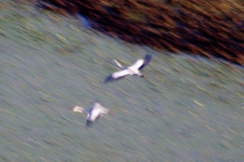 e0045768_2214422.jpg