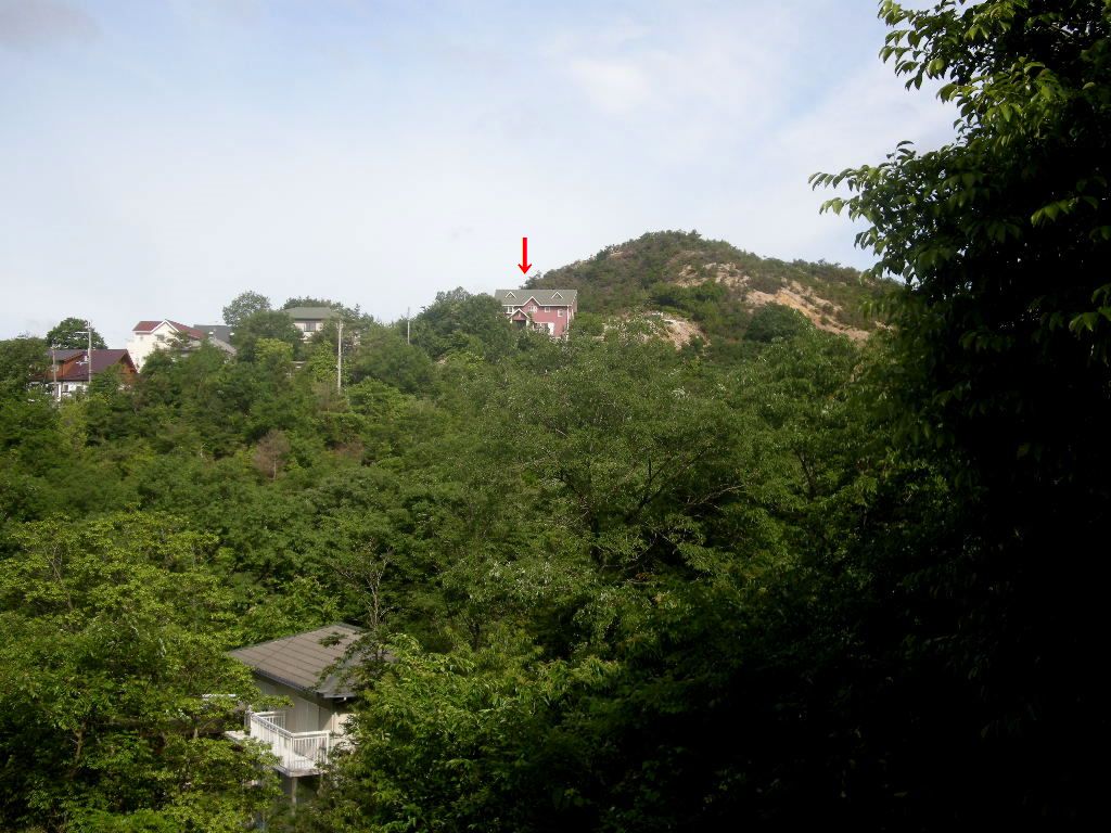 b0185573_1056764.jpg