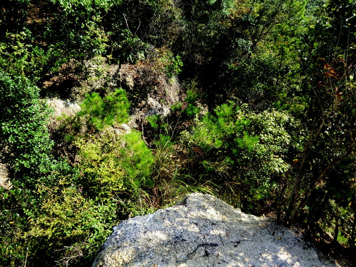 b0185573_14461790.jpg