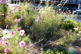 c0108673_1141426.jpg