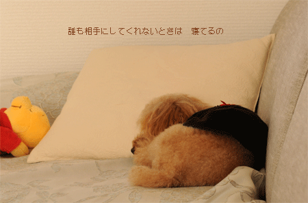 c0196673_8391964.gif