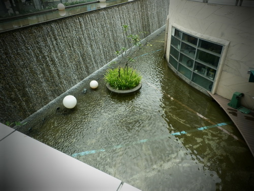 a0002177_13394074.jpg