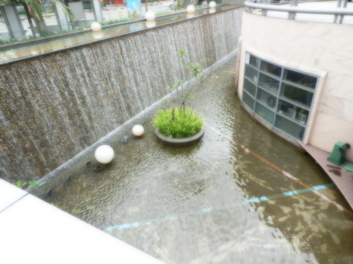 a0002177_1339728.jpg