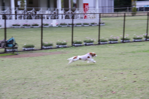 e0114977_20244663.jpg
