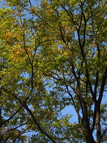 d0161578_13264848.jpg