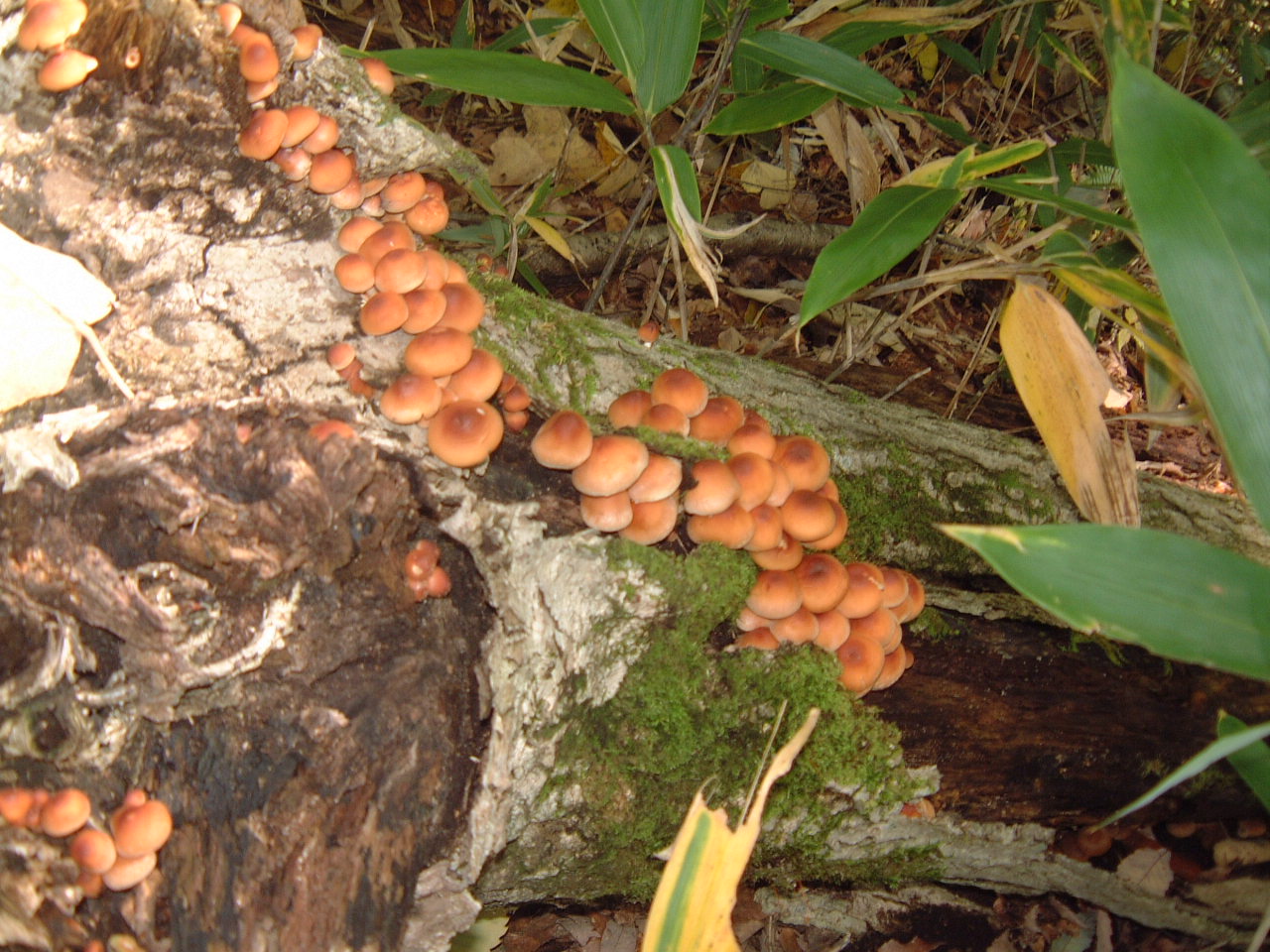 c0237780_20594396.jpg